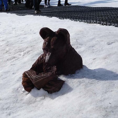 High Tatras - Patris 27 Apartment ตาตรันสกา ชตราบา ภายนอก รูปภาพ