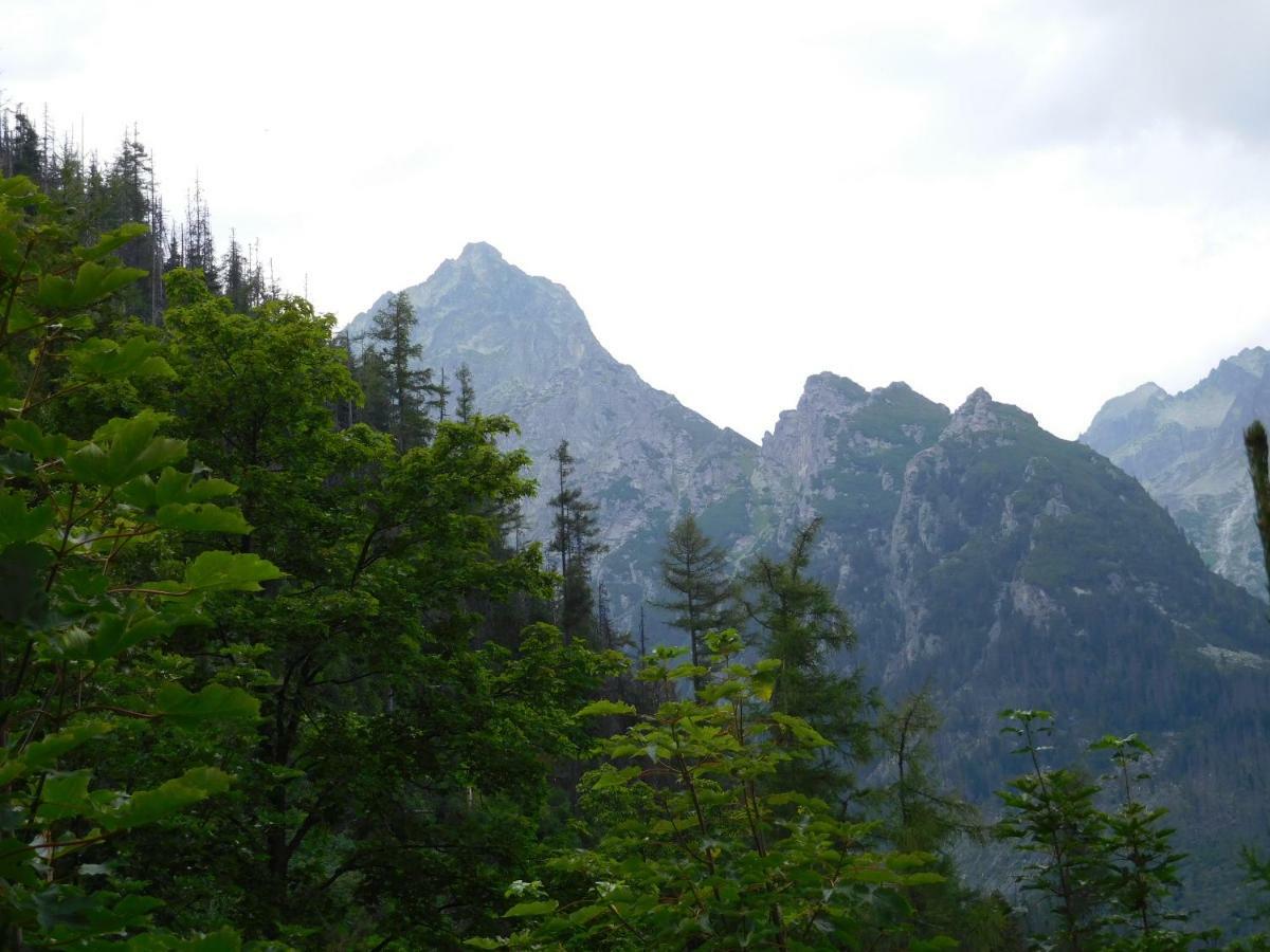 High Tatras - Patris 27 Apartment ตาตรันสกา ชตราบา ภายนอก รูปภาพ